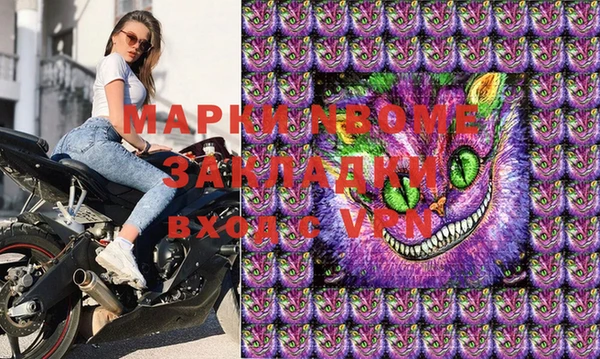 стаф Пестово