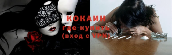 стаф Пестово