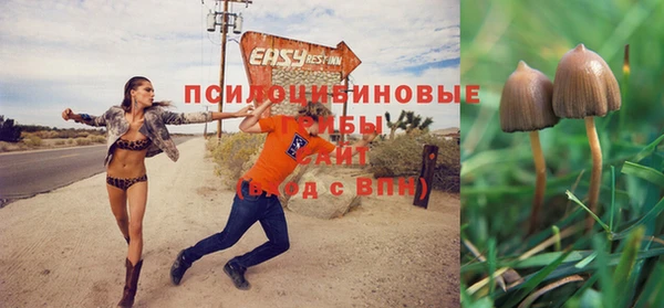 прущие крисы Осинники
