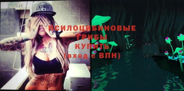 мет Ветлуга