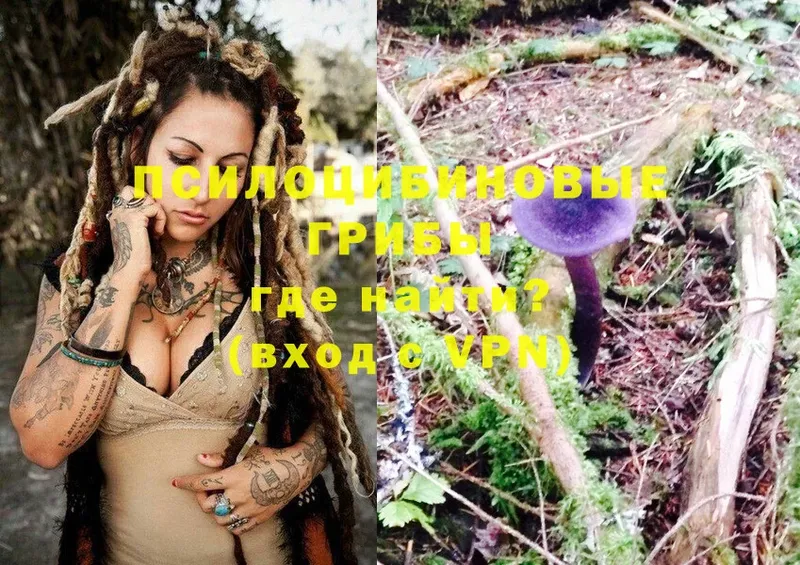 Псилоцибиновые грибы ЛСД  Бабаево 